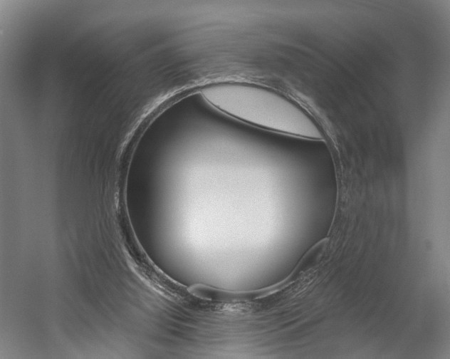 X0000058760060200509300824