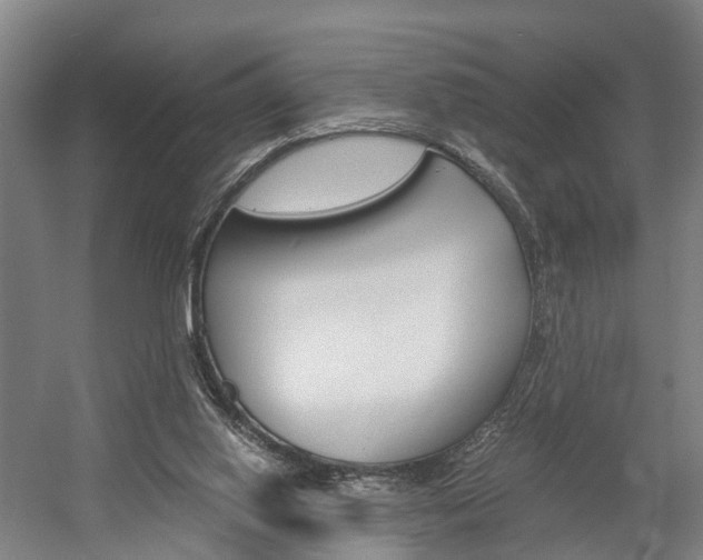 X0000058760062200509300824