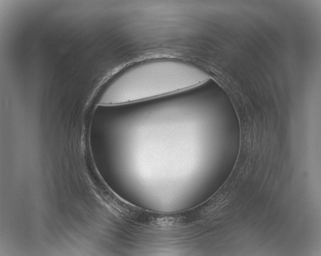 X0000058760064200509300824