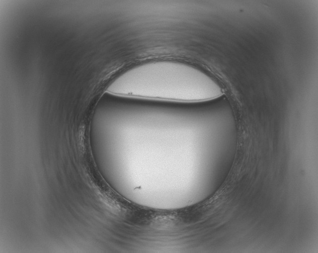 X0000058760066200509300824
