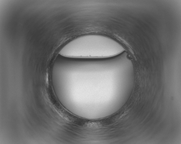 X0000058760067200509300824