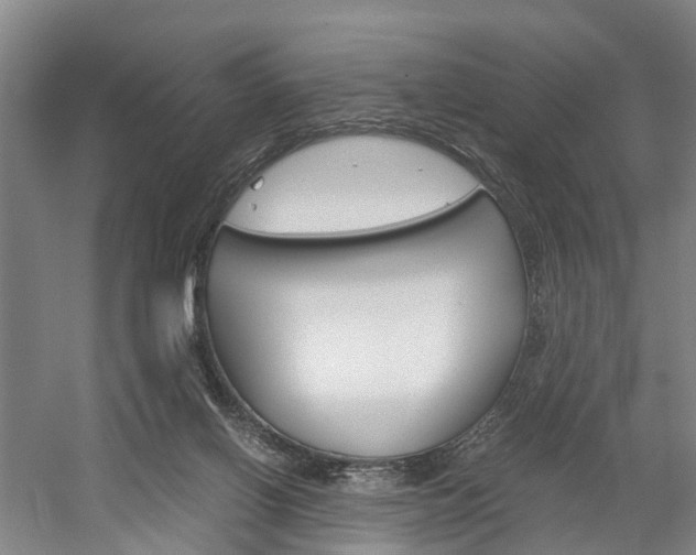 X0000058760070200509300824