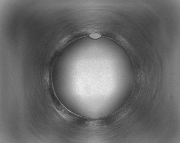 X0000058760072200509300824