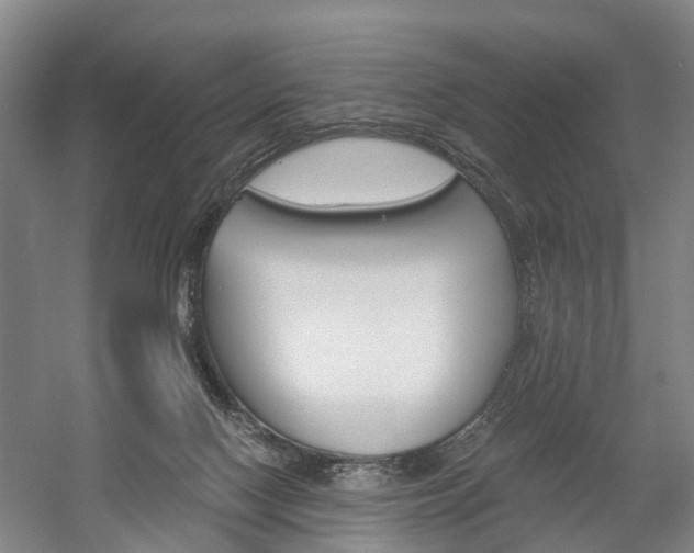 X0000058760074200509300825