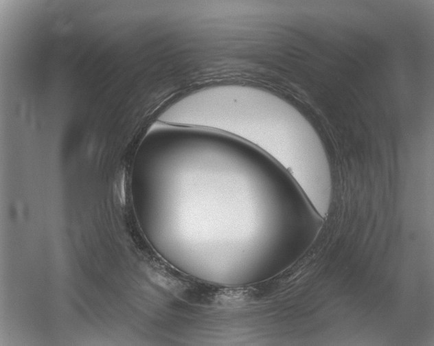 X0000058760076200509300825