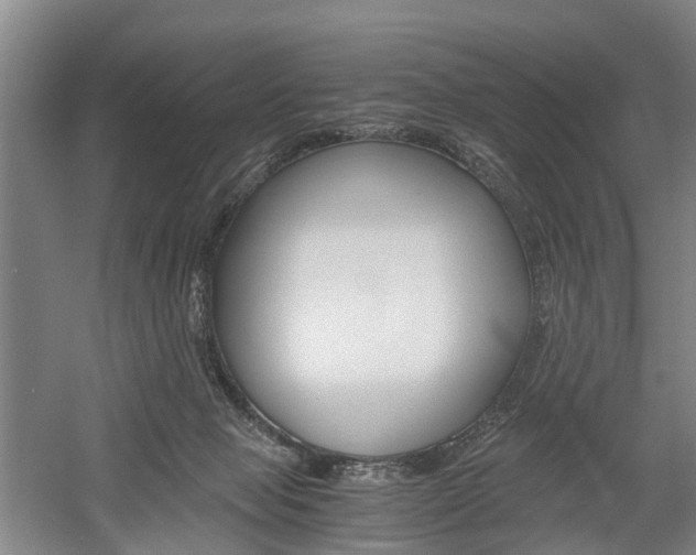 X0000058760077200509300825