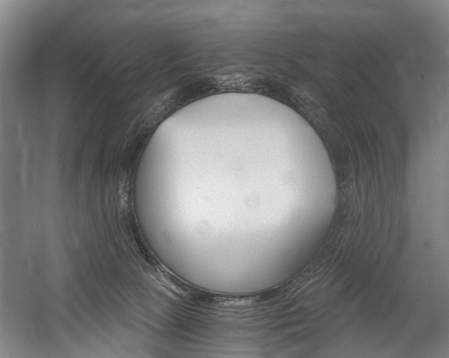 X0000058760081200509300825