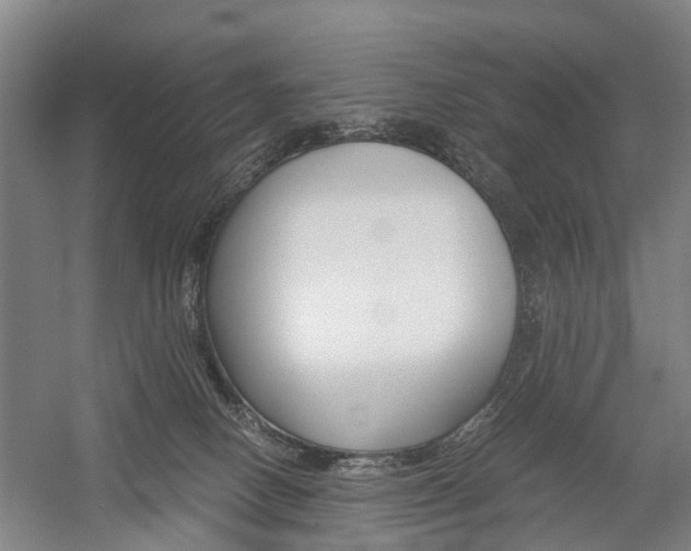 X0000058760082200509300825