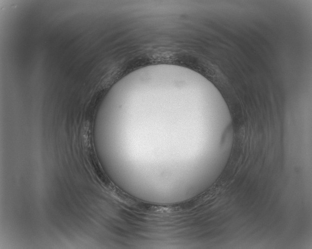 X0000058760083200509300825