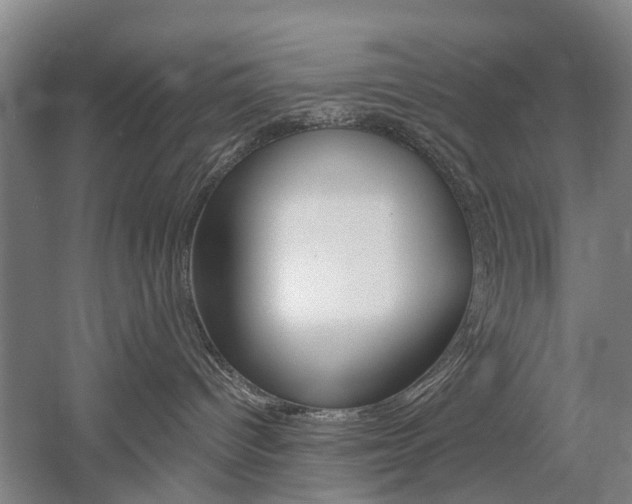 X0000058760096200509300825