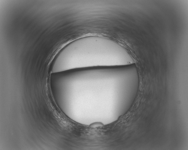 X0000058760098200509300824
