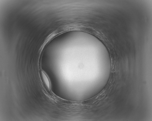 X0000058760099200509300824