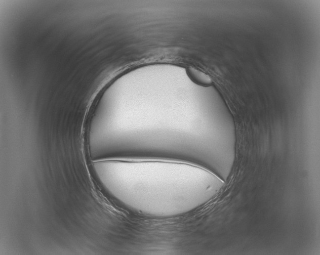 X0000058760100200509300824