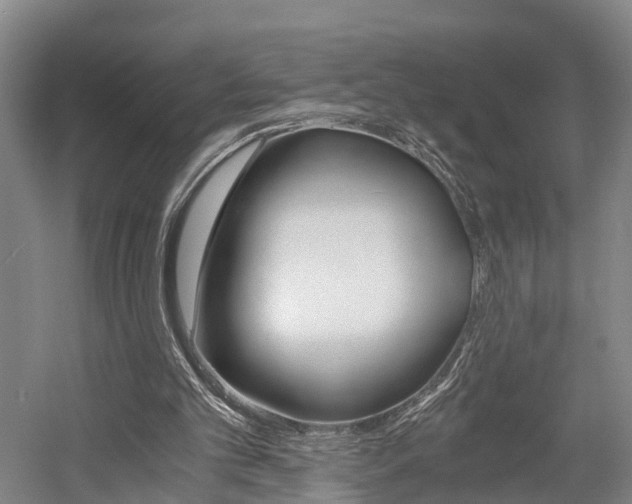X0000058760101200509300824