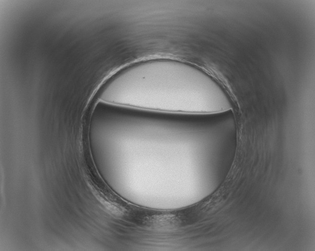 X0000058760108200509300824