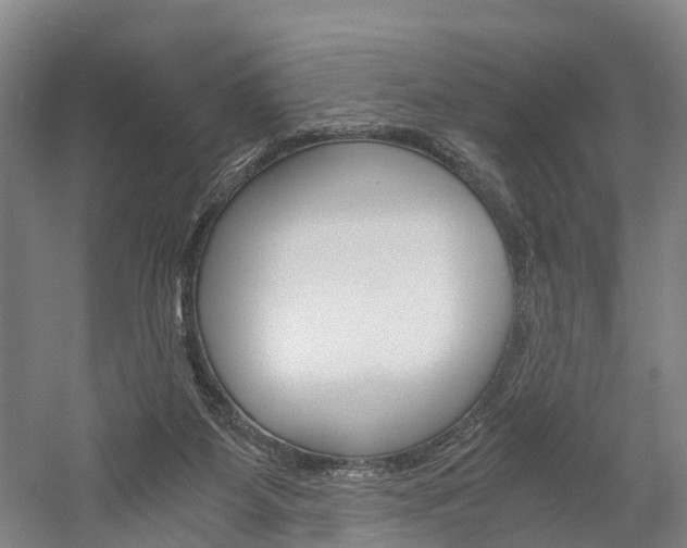 X0000058760115200509300824
