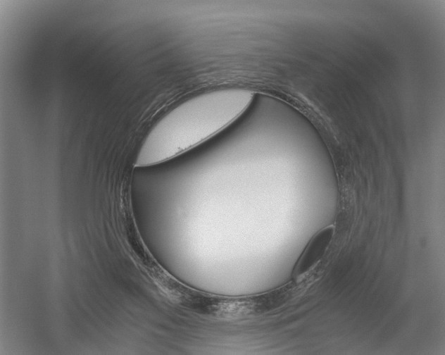 X0000058760117200509300824