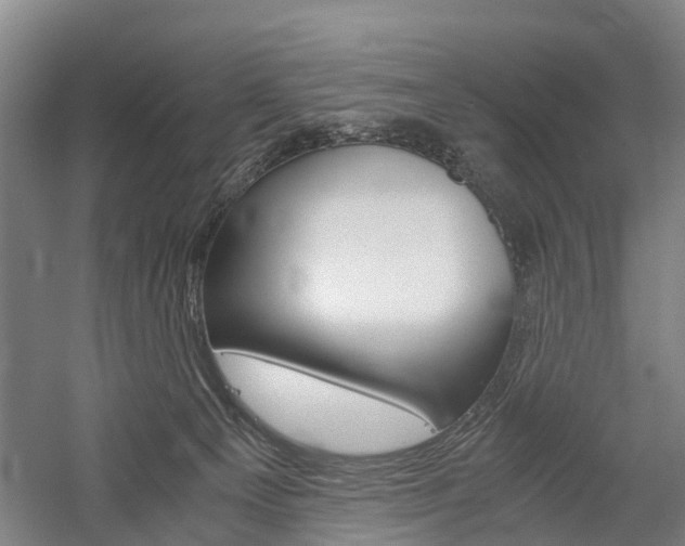X0000058760129200509300824