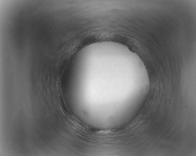 X0000058760133200509300823