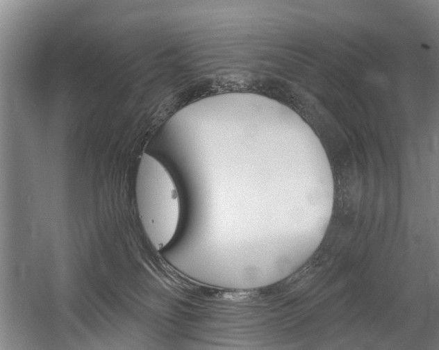 X0000058760134200509300823