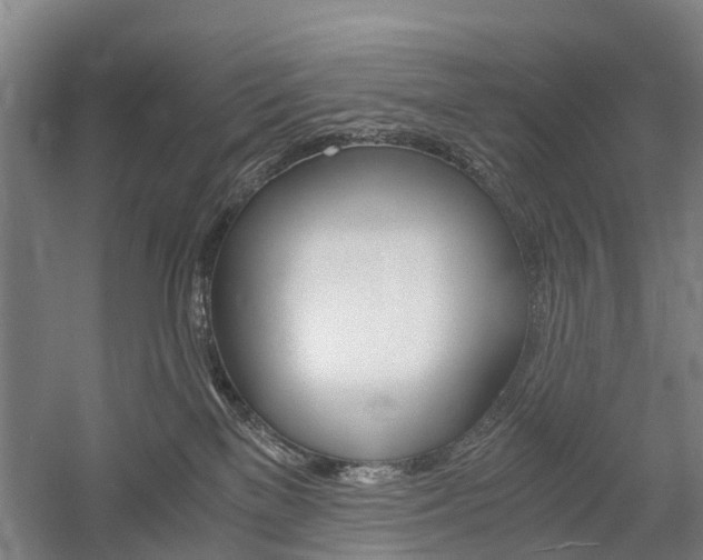 X0000058760137200509300823