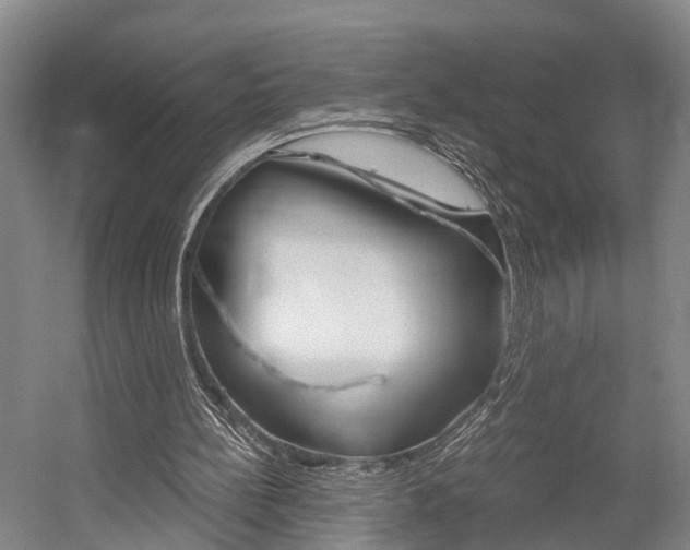 X0000058760148200509300822