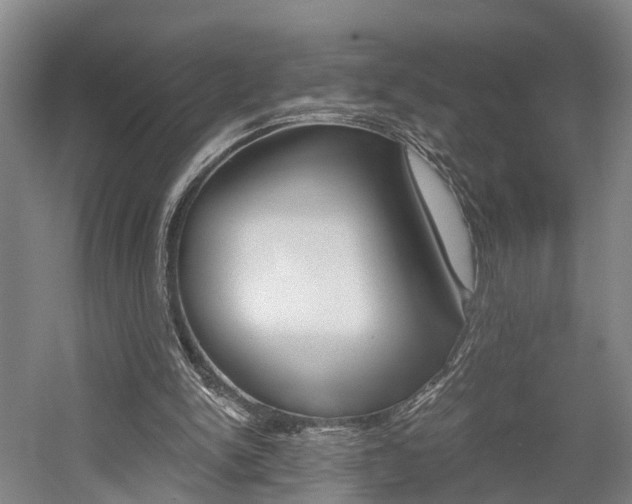 X0000058760150200509300823