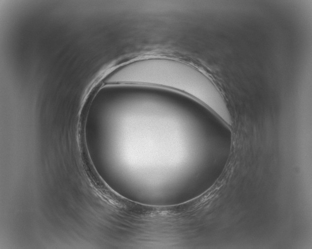 X0000058760152200509300823