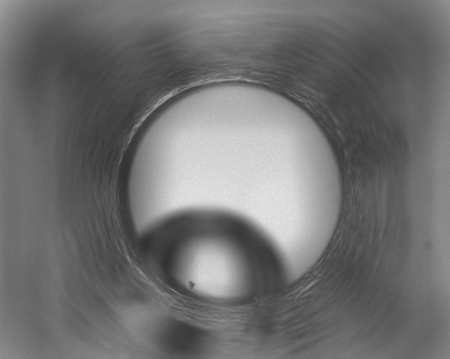 X0000058760156200509300823