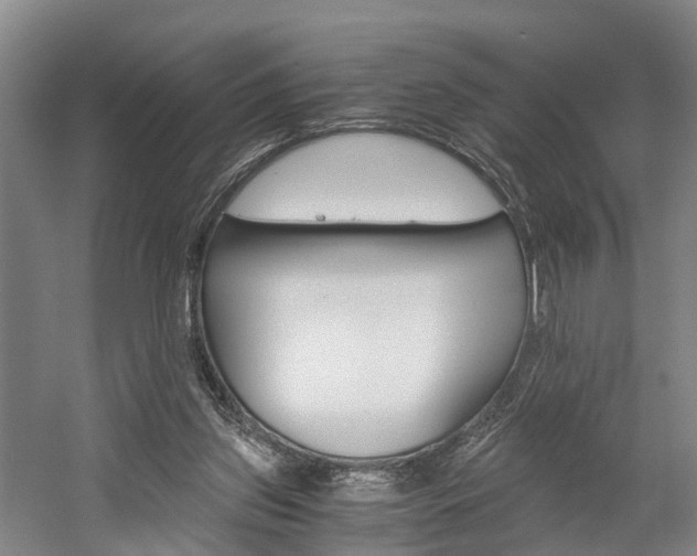 X0000058760157200509300823
