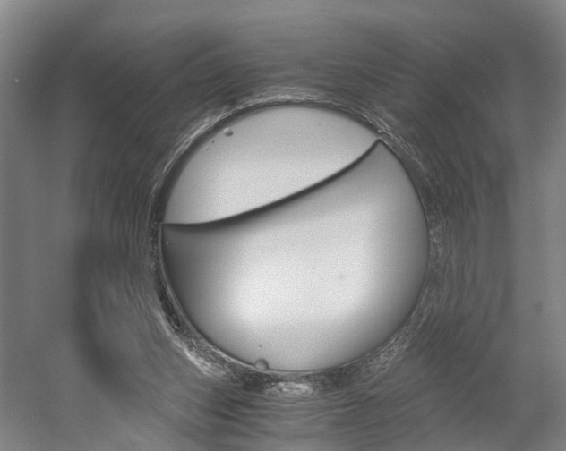 X0000058760159200509300823