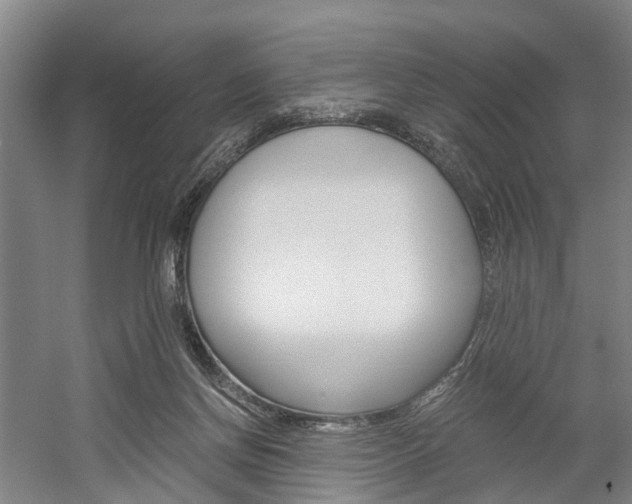 X0000058760166200509300823
