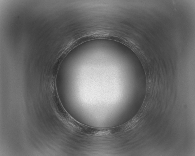 X0000058760168200509300823