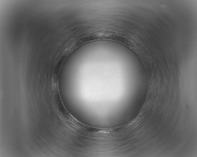 X0000058760176200509300823