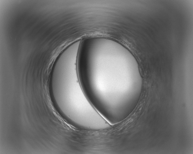 X0000058760193200509300822