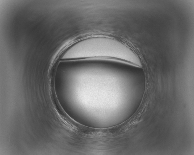 X0000058760197200509300822