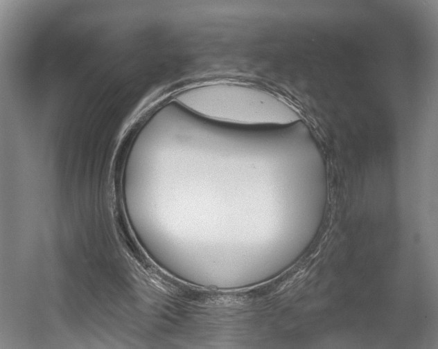 X0000058760198200509300822