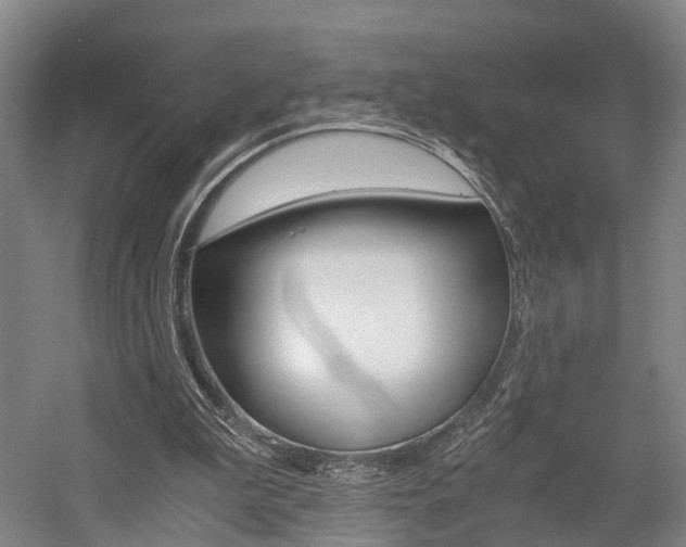 X0000058760199200509300822