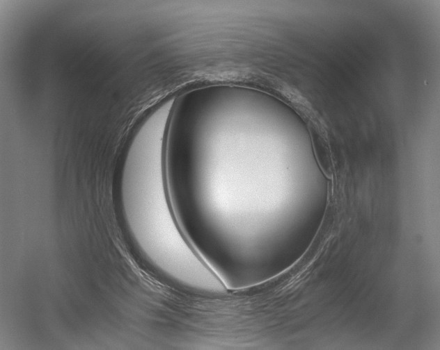 X0000058760201200509300822