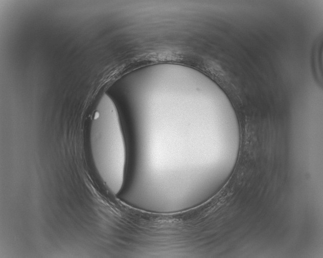 X0000058760202200509300822