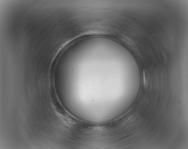 X0000058760204200509300822