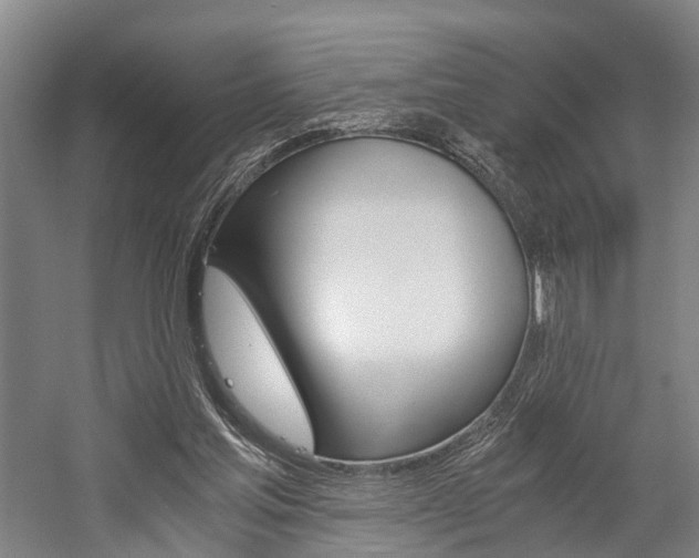 X0000058760205200509300822