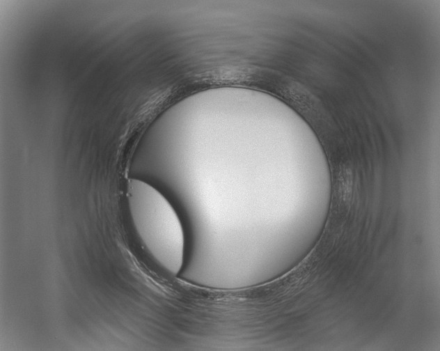 X0000058760206200509300822