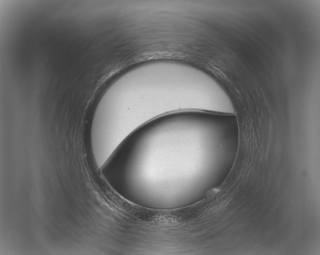 X0000058760207200509300822