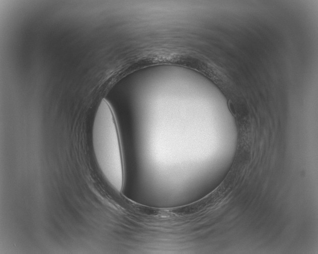 X0000058760215200509300822