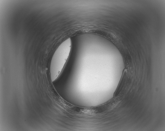 X0000058760221200509300822