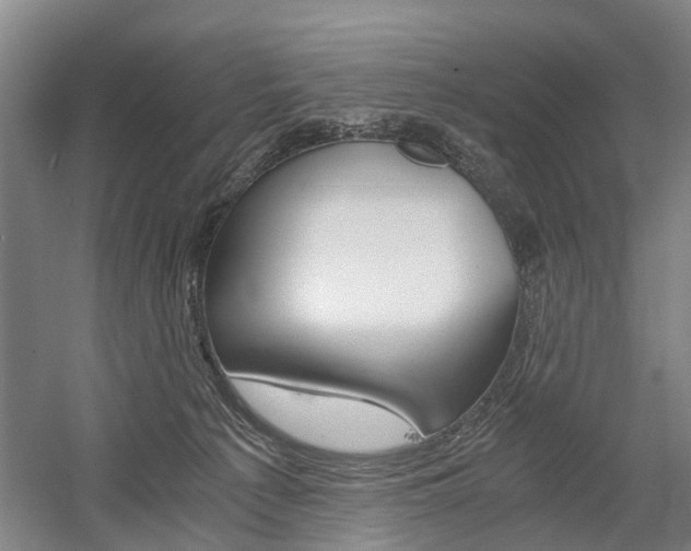 X0000058760225200509300822