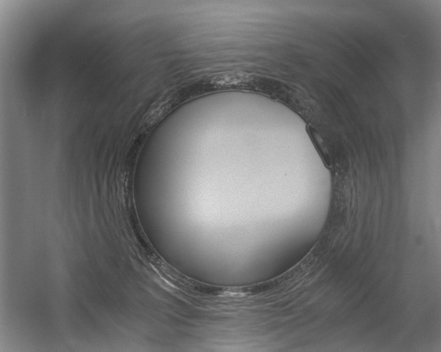 X0000058760227200509300822