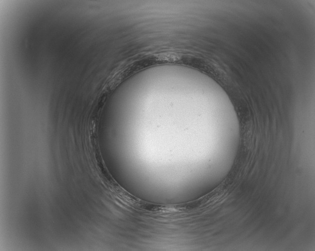 X0000058760229200509300822