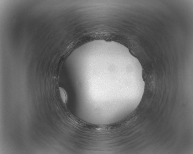 X0000058760232200509300822